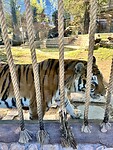 Zoo Córdoba