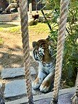 Zoo Córdoba