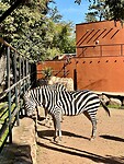 Zoo Córdoba