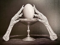 Fototentoonstelling