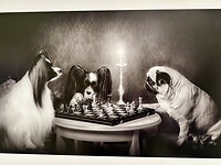 Fototentoonstelling
