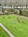 In het park “La Taconera”