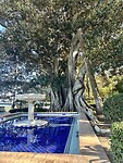 Park in Cádiz.