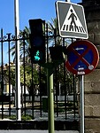 Stoplicht voor de paarden!