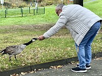 Fütterung der wilden tiere.