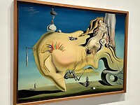 Van Salvador Dali.