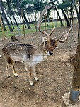 Ook in het vogelpark.