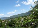 floripa 013