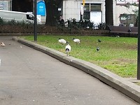 20171026_120212