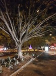20171027_211105