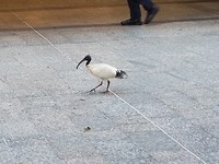 20171027_164253