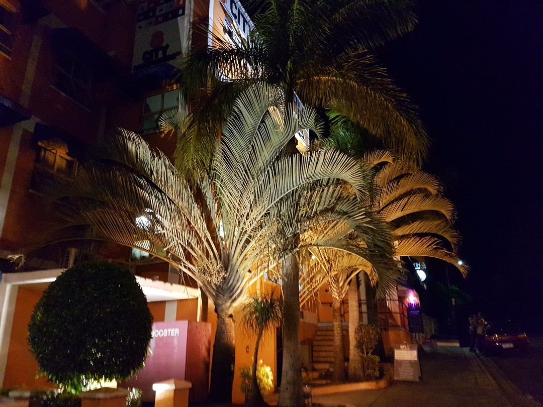 20171028_013019