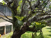 20171029_125922