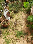 20171030_095357