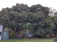 20171030_155521