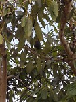 20171030_155632