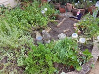 20171030_144908