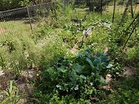 20171031_095014