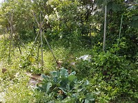 20171031_094955