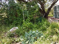 20171031_095001