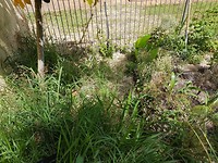 20171031_095016