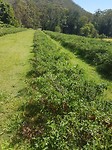 20171102_093823