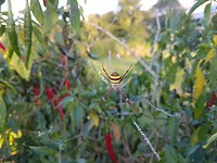 20171102_172705