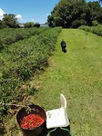 20171102_105455
