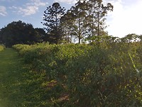 20171102_163741