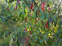 20171102_165156
