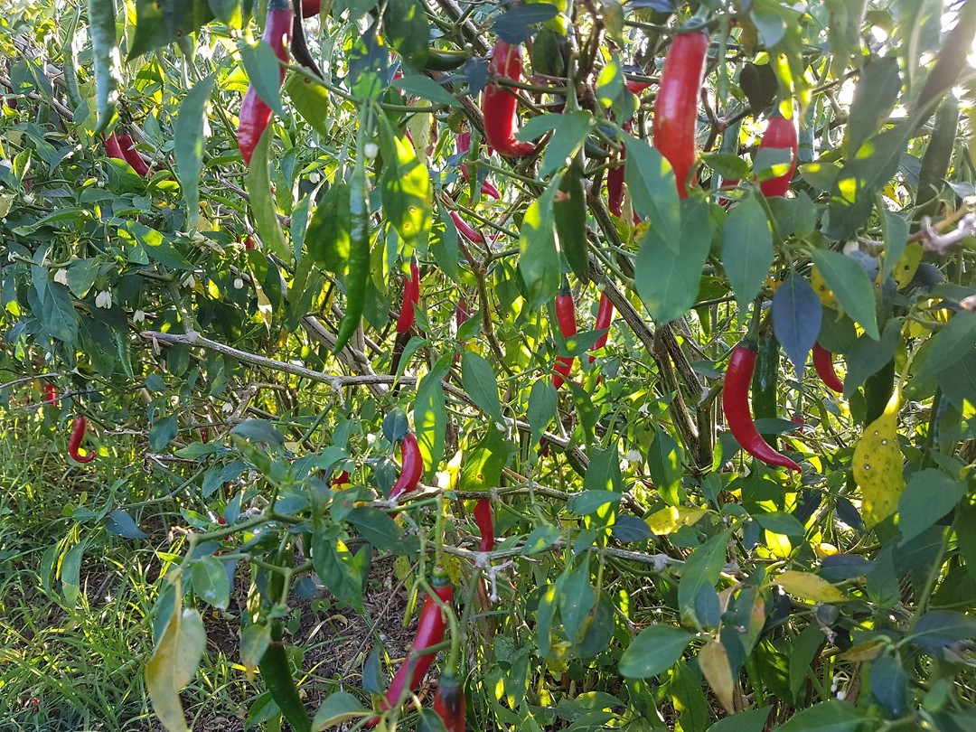 20171102_165156