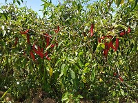 20171102_105502