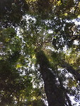 20171104_160519