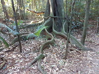 20171104_162137