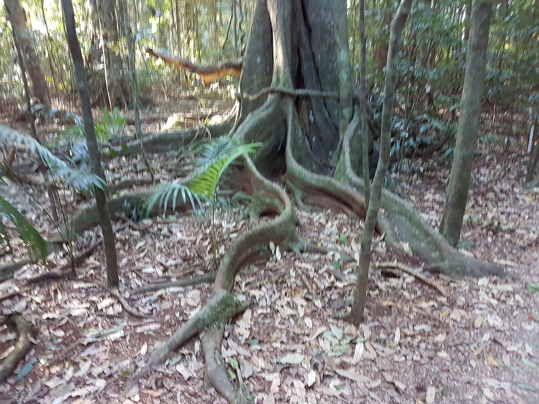 20171104_162137