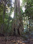 20171104_162305