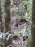 20171104_162939(0)