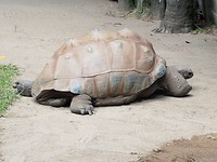 20171105_095141