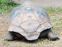 20171105_095122