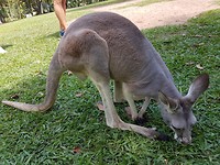 20171105_101514