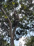 20171105_101635