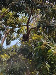 20171105_101719