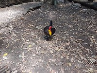 20171105_104804