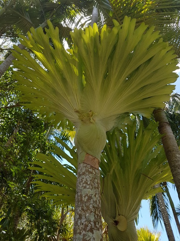 20171105_114552