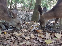 20171105_104851