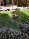 20171105_103840