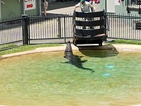 20171105_122557