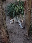 20171105_125220