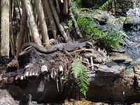 20171105_132002