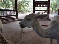 20171105_124821